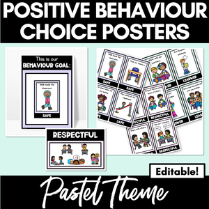 Positive Behaviour Choice Posters | Safe Respectful Learners | Pastel Theme