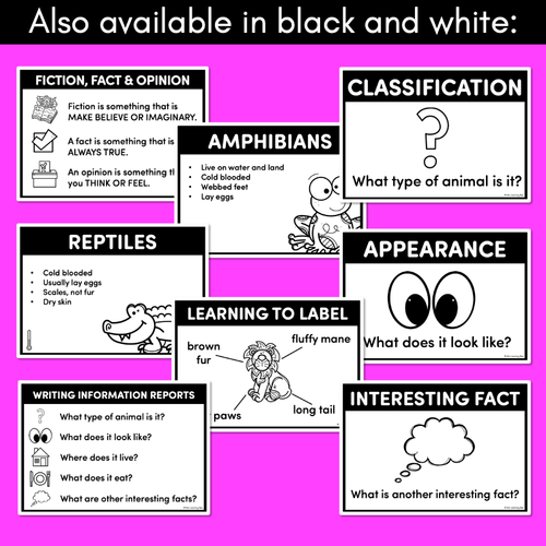 Resource preview 2 for Informational Writing Posters