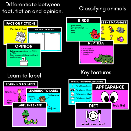 Resource preview 2 for Informational Texts Powerpoint