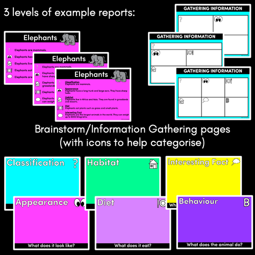Resource preview 3 for Informational Texts Powerpoint