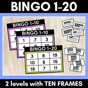 Number 1-20 Bingo with Ten Frames