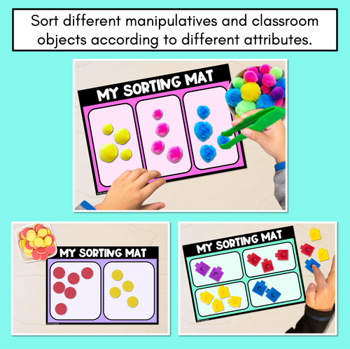 Resource preview 2 for Classification Sorting Mats