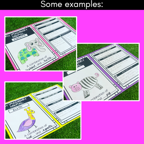 Resource preview 3 for Imaginary Animal Informative Text Templates
