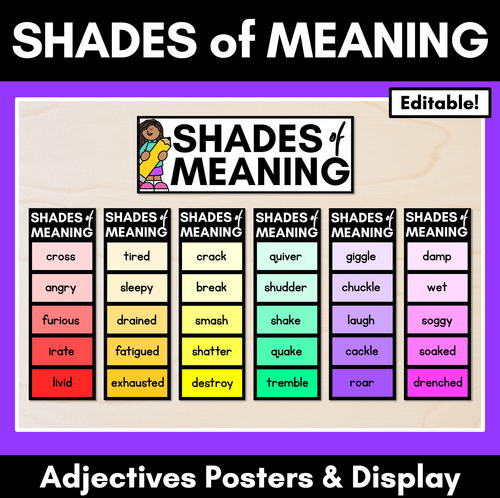 Resource preview 1 for Shades of Meaning Adjectives Posters - Editable