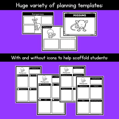Resource preview 4 for INFORMATIVE TEXT WRITING TEMPLATES - Australian Animals Writing Templates for K-2
