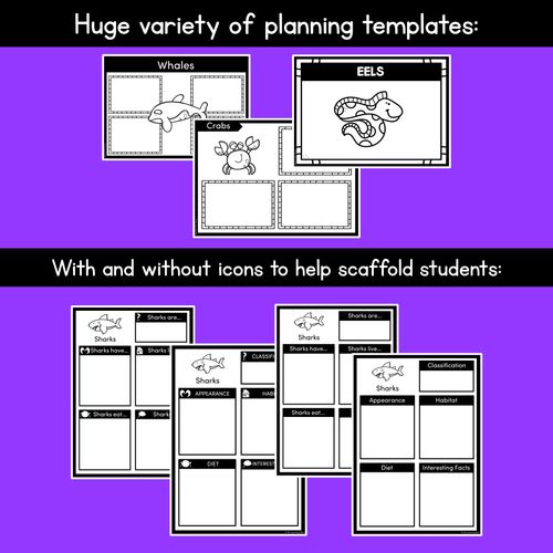 Resource preview 3 for INFORMATIVE TEXT TEMPLATES - Sea Creatures Writing Templates for K-2