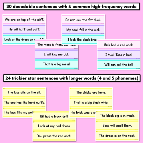 Resource preview 3 for Consonant Digraphs LL SS FF ZZ CK Decodable Words and Sentence Cards