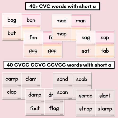 Resource preview 2 for Neutral CVC CVCC CCVC Short A Decodable Words and Sentence Cards