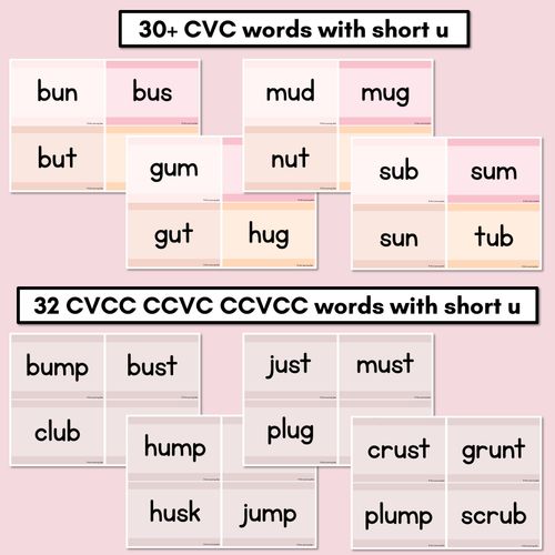 Resource preview 2 for Neutral CVC CVCC CCVC Short U Decodable Words and Sentence Cards 