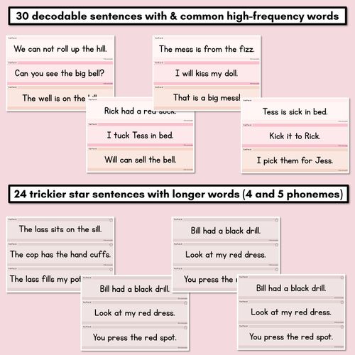 Resource preview 3 for Neutral Consonant Digraphs LL SS FF ZZ CK Decodable Words and Sentence Cards 