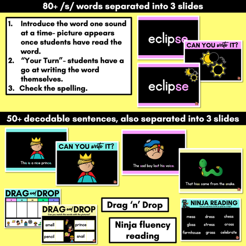 Resource preview 3 for Consonant Sound S PowerPoint | S SS C CE SE