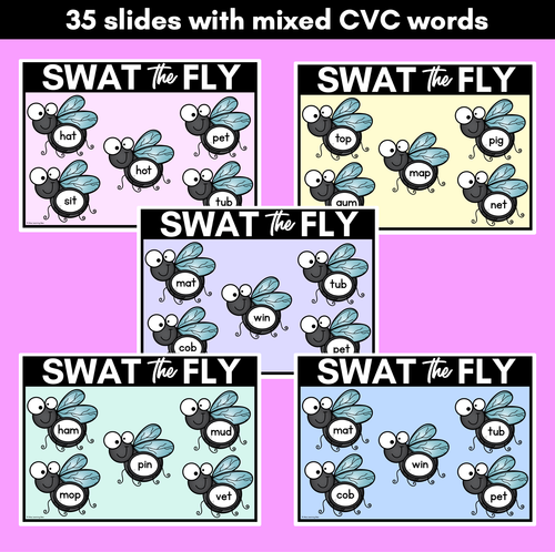 Resource preview 3 for FLY SWAT CVC WORD DIGITAL SLIDES - Set 2 - Mixed CVC Words - Digital Phonics