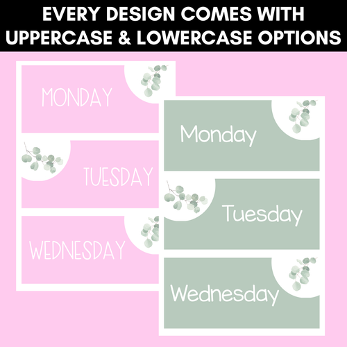 Resource preview 3 for EUCALYPTUS DECOR Days & Months Displays