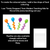 3 for FINE MOTOR KINDERGARTEN ACTIVITIES | Water Droplets FREEBIE