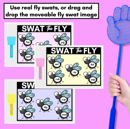 Resource preview 2 for FLY SWAT CVC WORD DIGITAL SLIDES - Set 2 - Mixed CVC Words - Digital Phonics