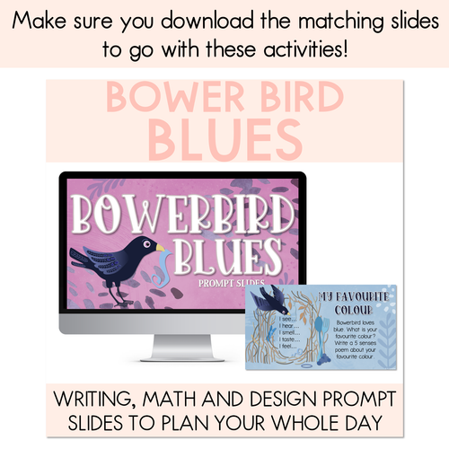 Resource preview 5 for Bowerbird Blues National Simultaneous Storytime - Crafts, Writing & Maths Activities
