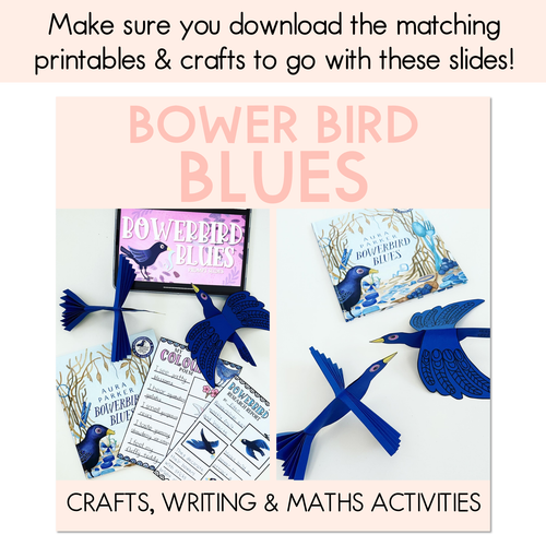 Resource preview 6 for Bowerbird Blues National Simultaneous Storytime - Writing, Maths & Design Prompt EDITABLE SLIDES