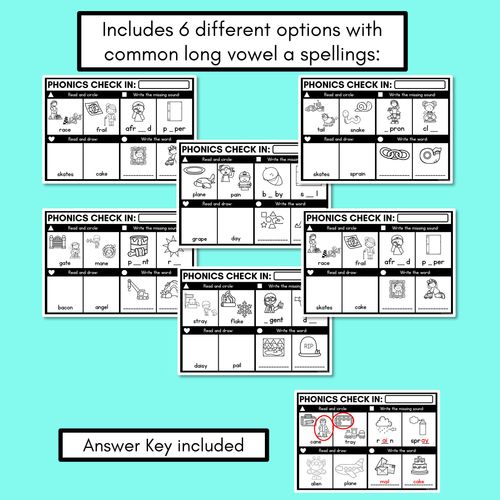 Resource preview 3 for PHONICS CHECK INS - Long Vowel A - No Prep Phonics Assessments 