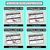 4 for PHONICS CHECK INS - Long Vowel A - No Prep Phonics Assessments 