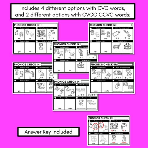 Resource preview 3 for PHONICS CHECK INS - CVC Words & CVCC CCVC Words Set 1 - No Prep Phonics Assessments 