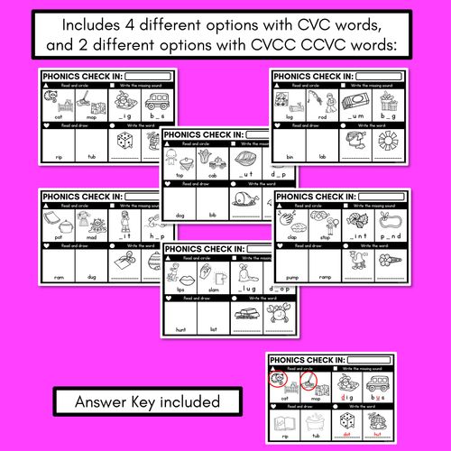 Resource preview 3 for PHONICS CHECK INS - CVC Words & CVCC CCVC Words Set 2 - No Prep Phonics Assessments 