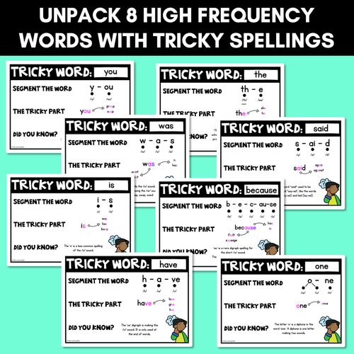 Resource preview 2 for WORDS WITH TRICKY SPELLINGS Freebie | High Frequency Words