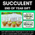 1 for You Have Bloomed Student Gift Templates